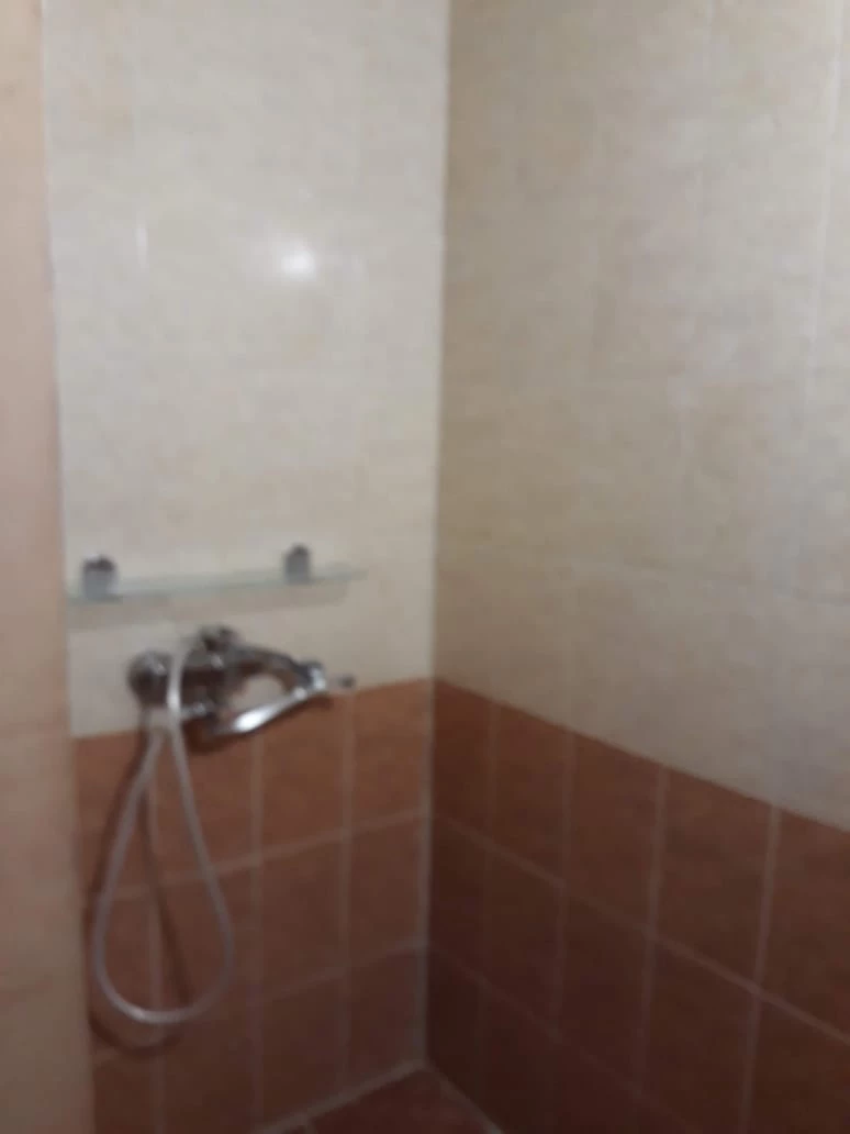 . Эллинг "Друзья". Лазаревское