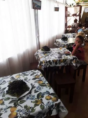 . Гостевой дом «Золотая Лоза». Вардане