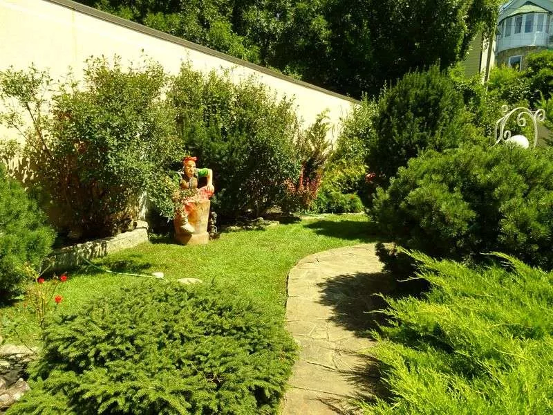 . Гостевой дом "Костяника" . Криница . Гостевой дом "Костяника" . Криница