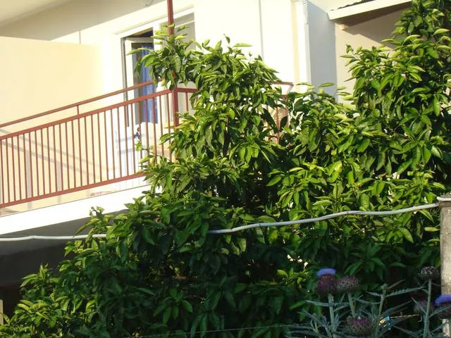 Гостевой дом Бригантина