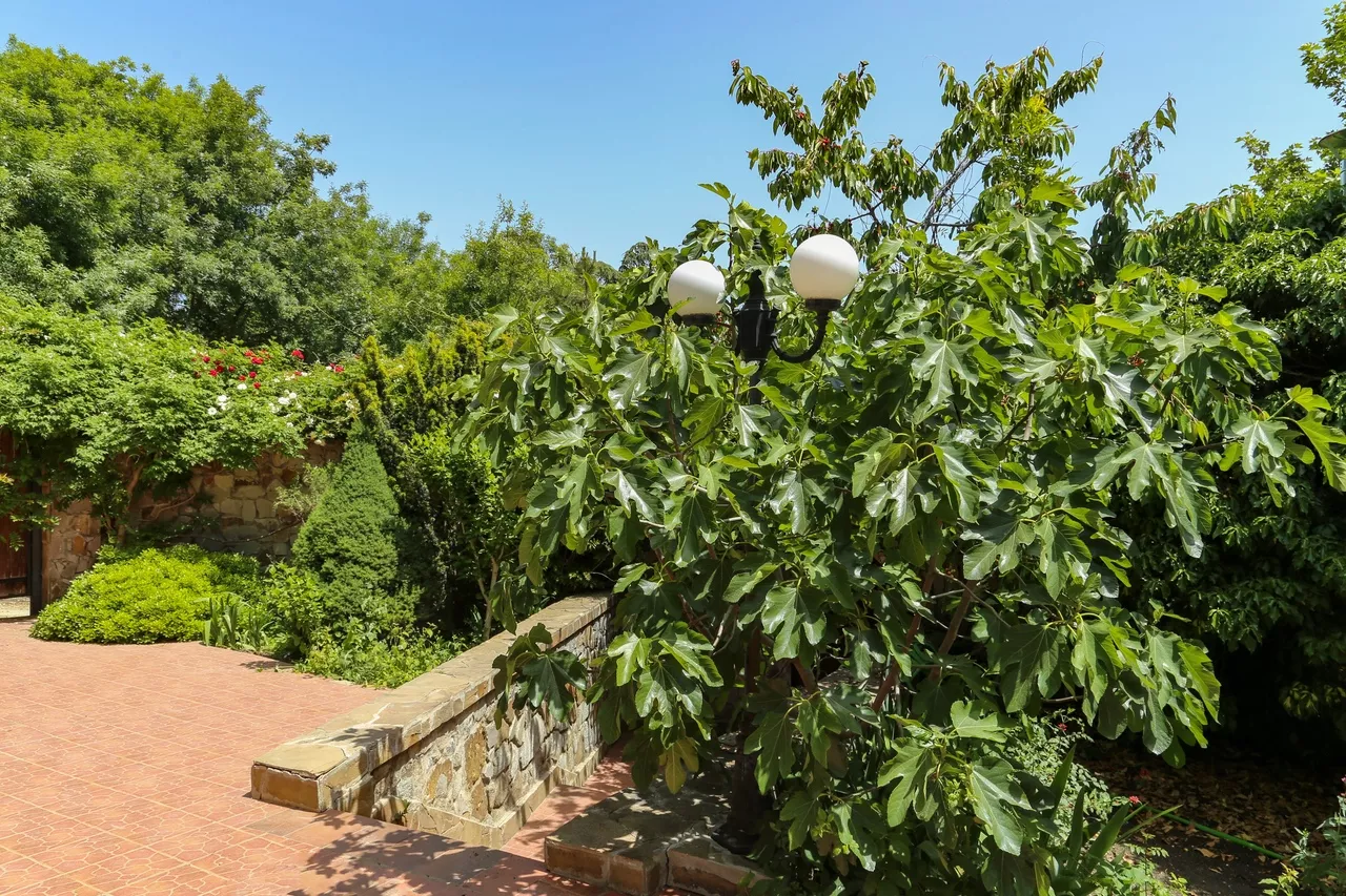 . Мини-отель «Старый Крым». Кипарисное