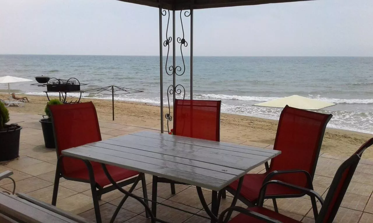 . Эллинг "Дельфин приморский". Приморский