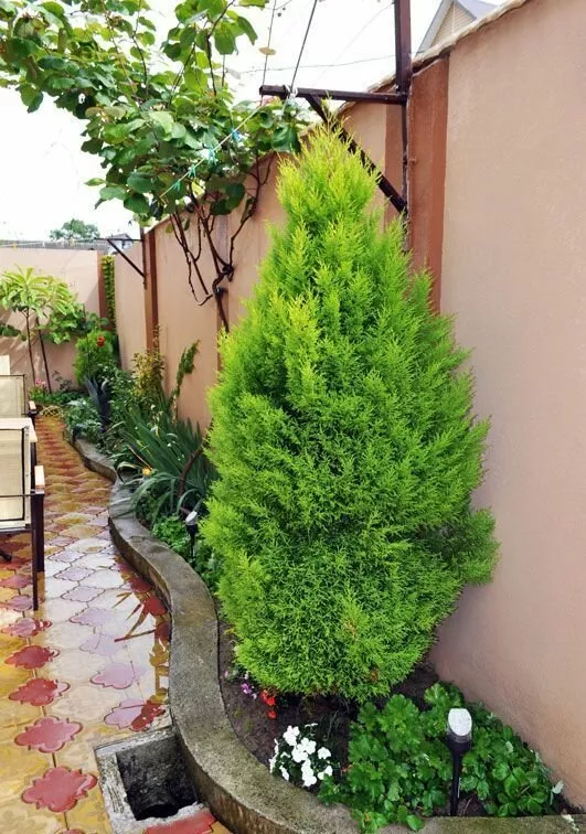 . Гостевой дом "Солнечный" - Вардане. Вардане