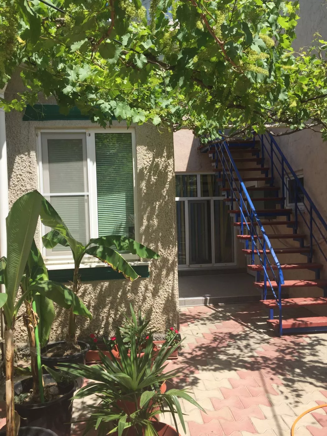 . Гостевой дом на Комарова 17. Витязево