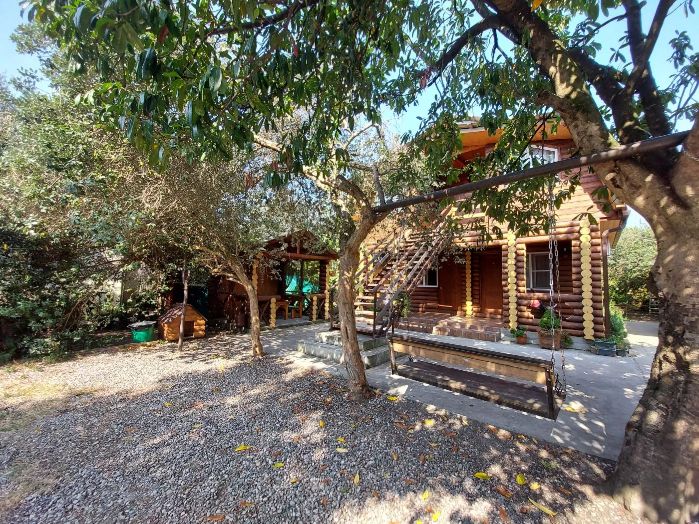 . Гостевой дом КАМЕЛИЯ. Пицунда