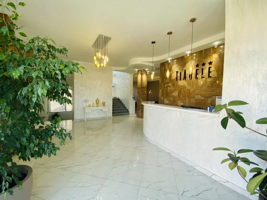 . Отель «TIADELE». Адлер