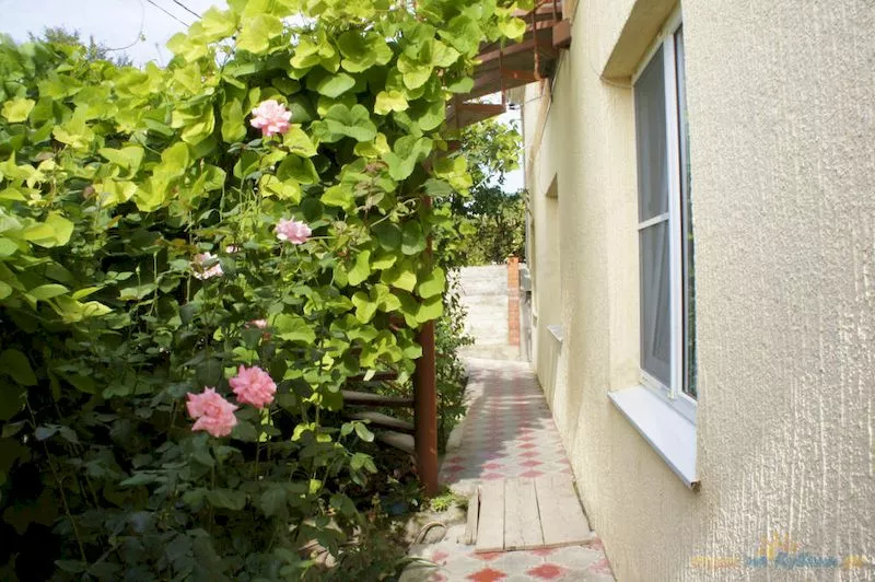 . Гостевой дом "Людмила" - Архипо-Осиповка. Архипо-Осиповка . Гостевой дом "Людмила" - Архипо-Осиповка. Архипо-Осиповка