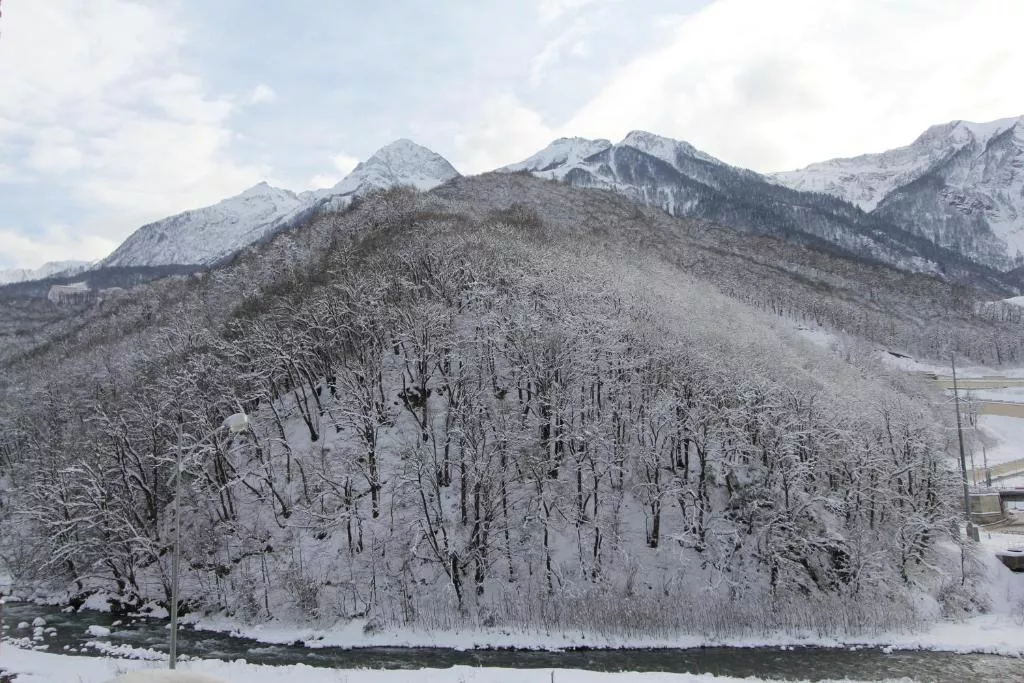 Бюджетный двухместный номер с 2 отдельными кроватями. гостиница "Альпийская Сказка". Красная Поляна