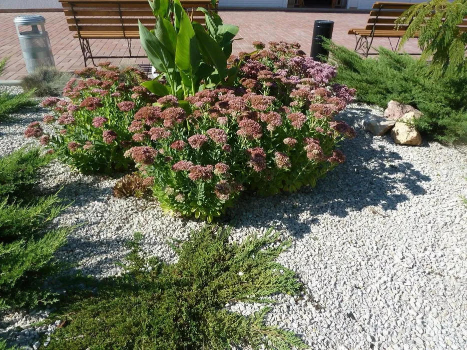 . Гостевой комплекс «Московский Берег». Витино