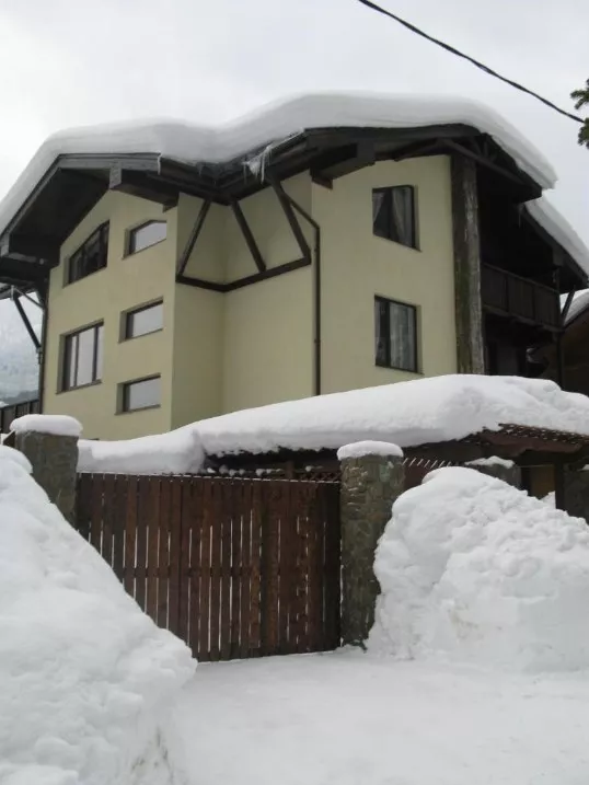 Дом Шалле Березовая 