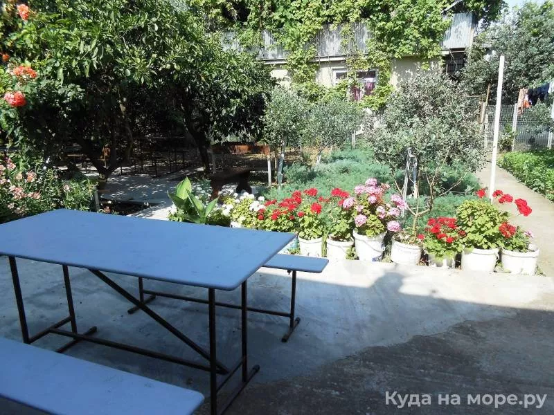 . Частный сектор «У Ануш». Пицунда