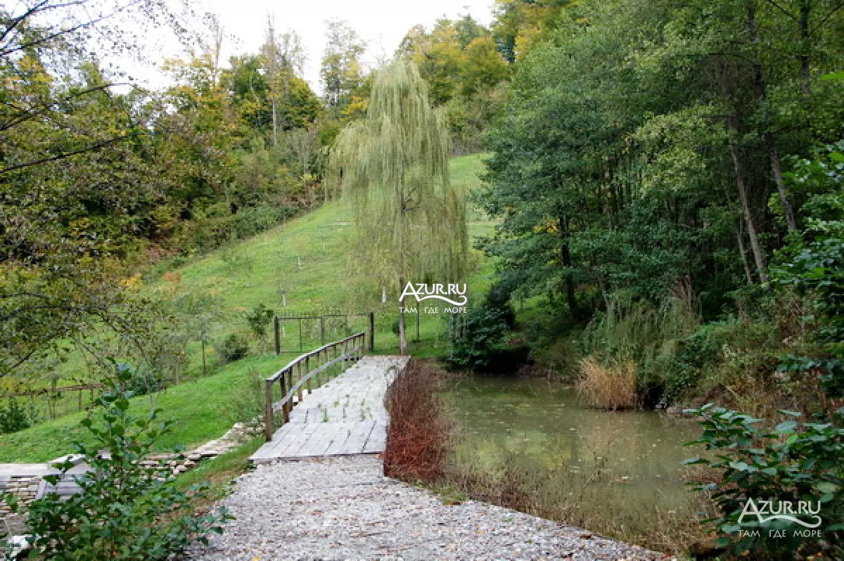 . База отдыха "Алексеевка". Лазаревское