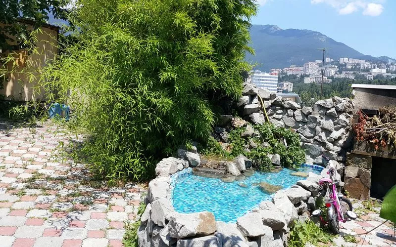 . Гостиница Три дельфина. Ялта