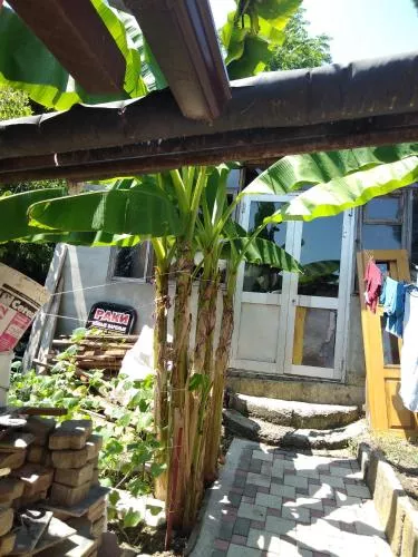 . Частный сектор Амалия. Туапсе