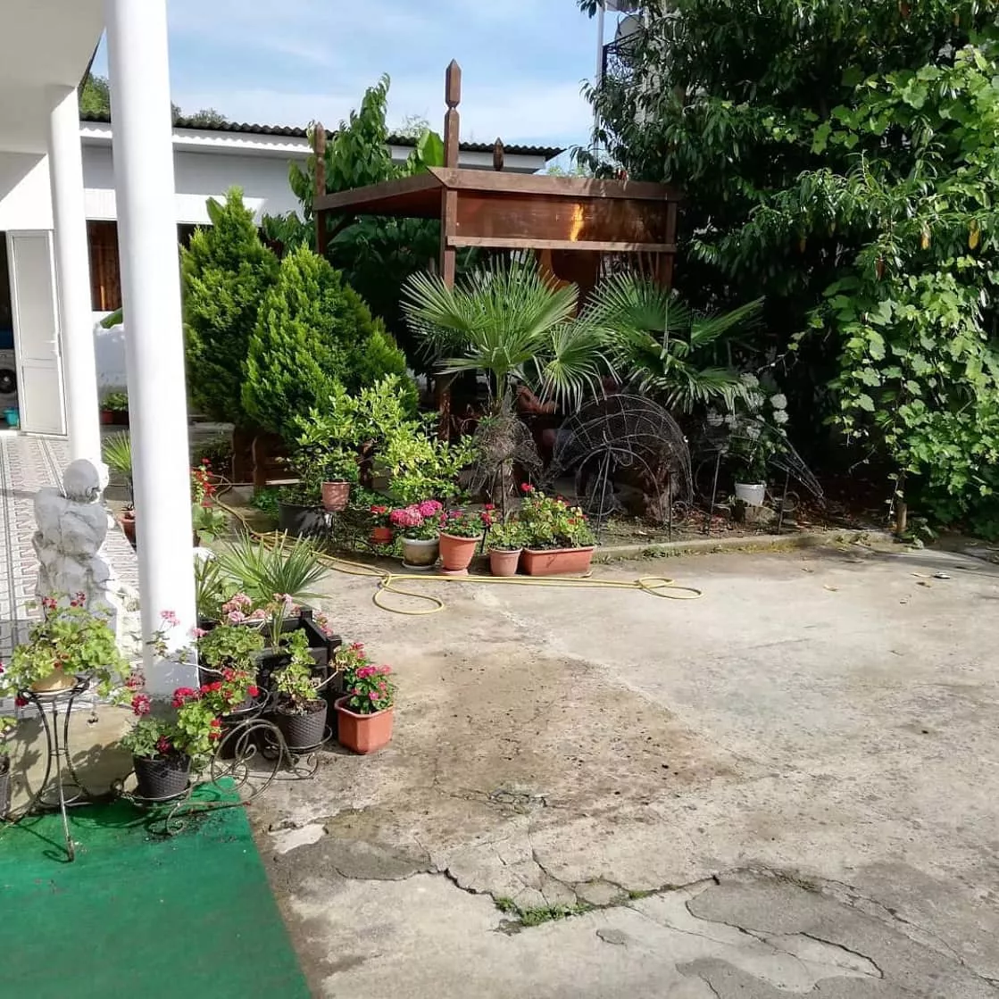 . Гостевой дом Тропиканка. Лоо