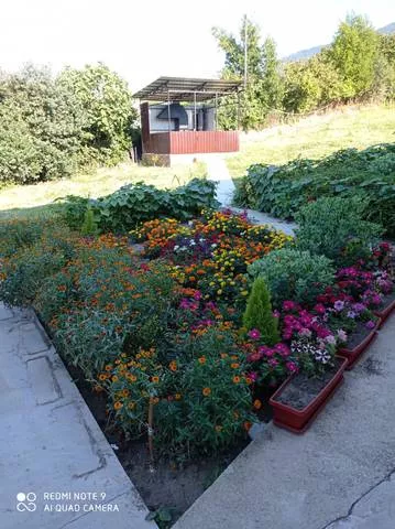 . Гостевой комплекс "Эдем". Новый Афон