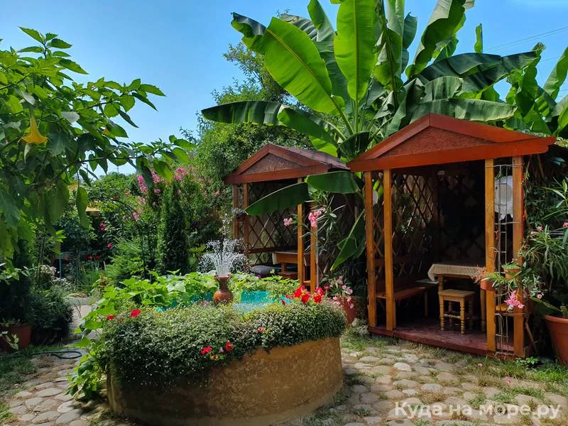 Гостевой дом Алиса - Солоники Гостевой дом Алиса - Солоники