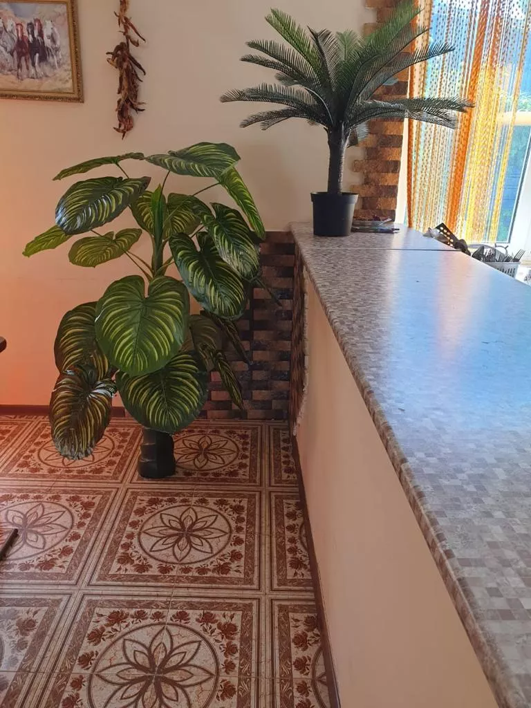 . Гостевой дом "Татьяна". Джубга