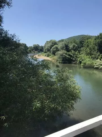 . Гостевой дом «Зелёный дворик». Архипо-Осиповка