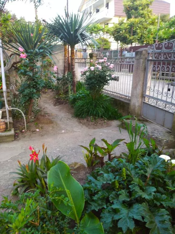 . Частный сектор У Саиды. Сухум