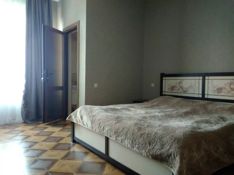 Стандарт. Гостевой дом София-Виктория. Гагра