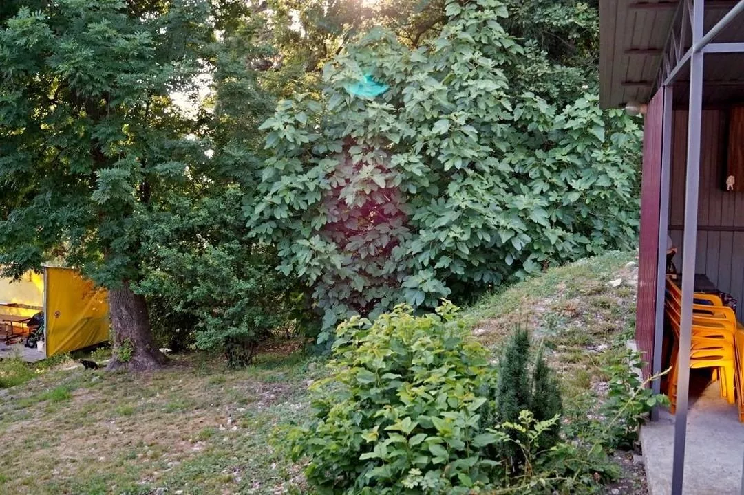 . Частный сектор Репина. Аше