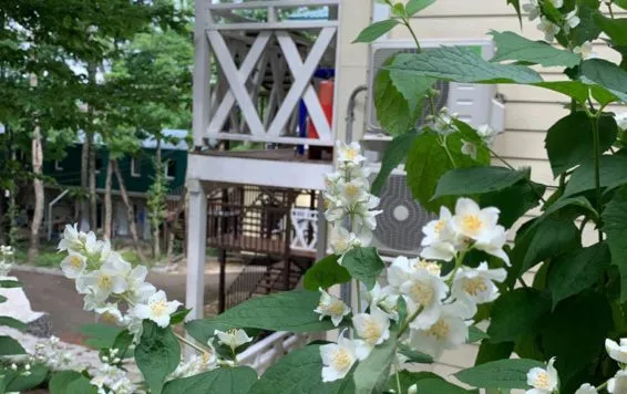 . База отдыха  "Ручеек"     . Джубга . База отдыха  "Ручеек"     . Джубга