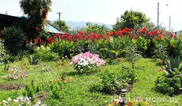 . Гостевой дом «У Руслана и Джульетты». Пицунда