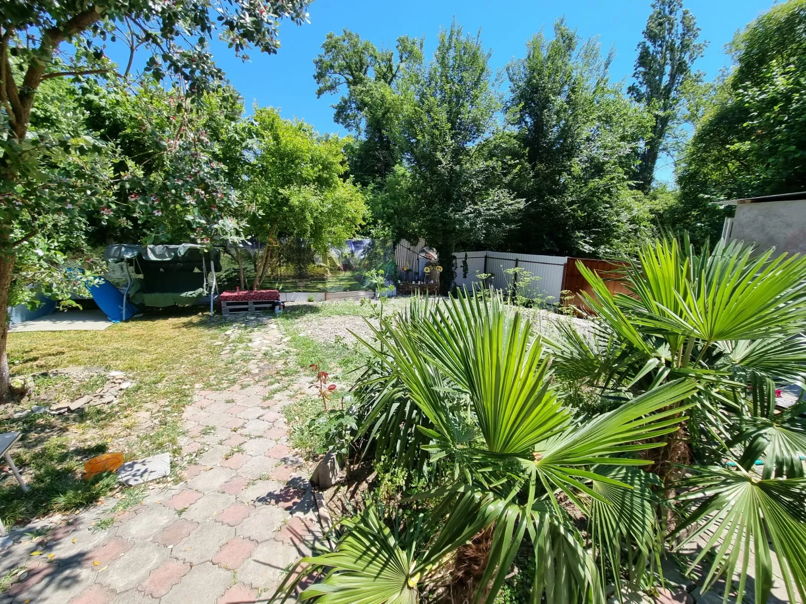 . Гостевой дом Сочи, ул.Юннатов 2а, "Мечта". Совет-Квадже