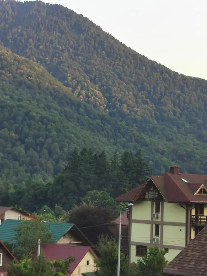 . Апарт-отель "Благодарный круглый год". Красная Поляна