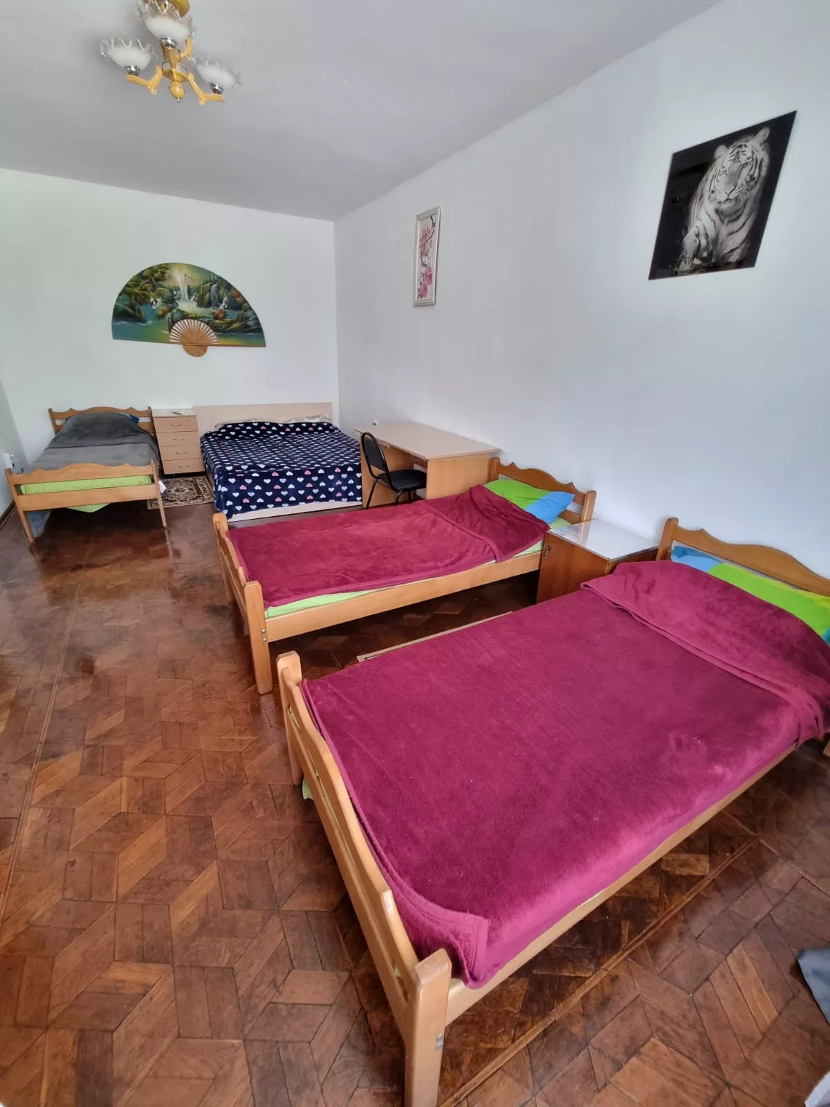 . Частный сектор Сочи, ул.Юннатов 2а, "Мечта". Сочи