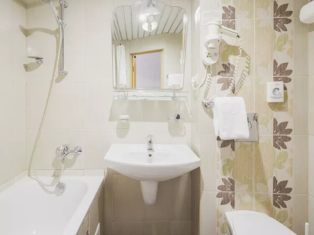 Однокомнатный двухместный номер улучшенной планировки с двуспальной кроватью и диваном. Отель "Магнолия". Сочи