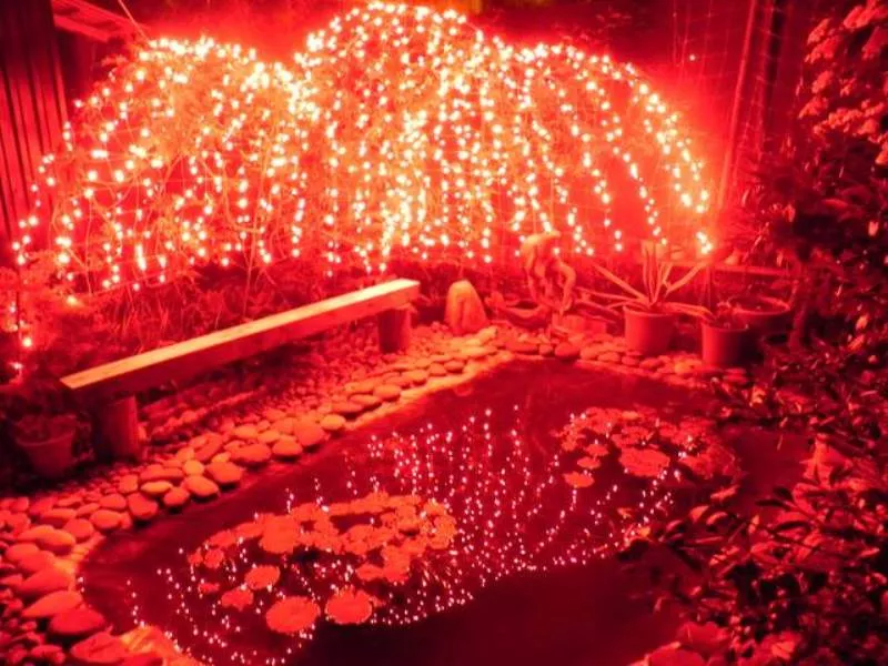 . Частный сектор Экзотический рай. Головинка