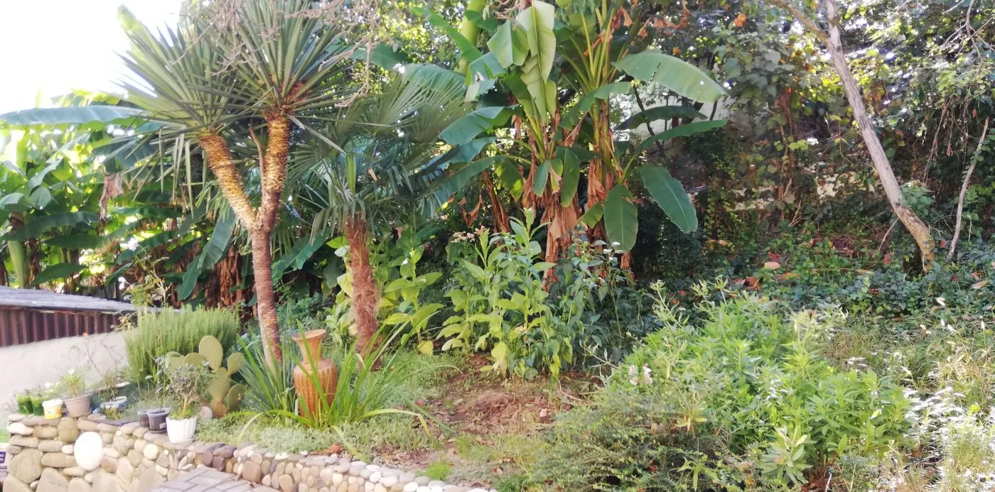 . Частный сектор Волконка. Сочи