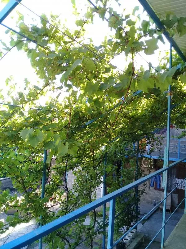 . Частный сектор "У капитана Ашота" в Джубге       . Джубга