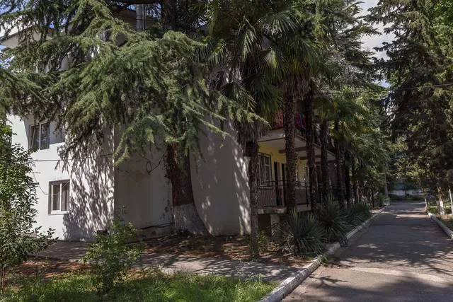 . База отдыха "Платан". Лазаревское