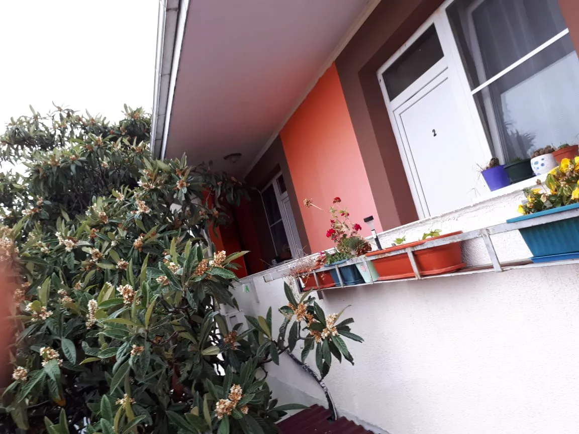 . Гостевой дом Золотая бухта. Адлер