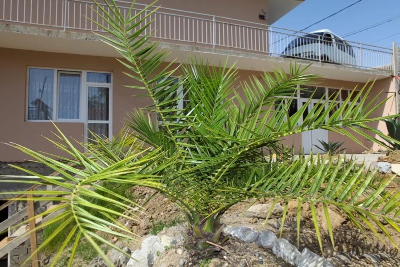 Гостевой дом "Элла"