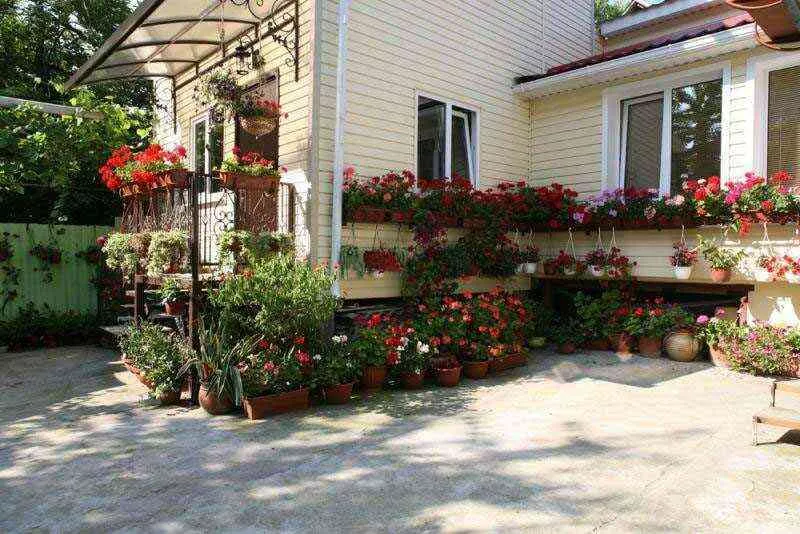 . Частный сектор «Владислав». Сочи