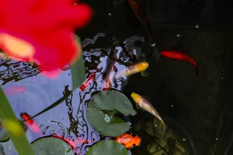 . Дом под ключ "Сочинское шоссе 2/4а". Лазаревское