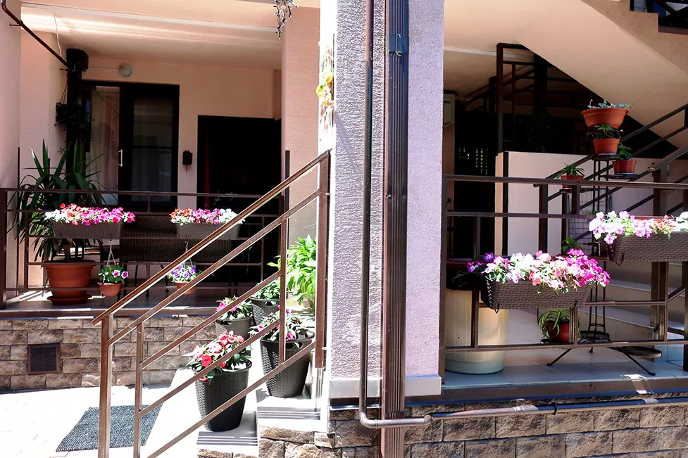 . Гостевой дом «Шоколад»    . Ольгинка