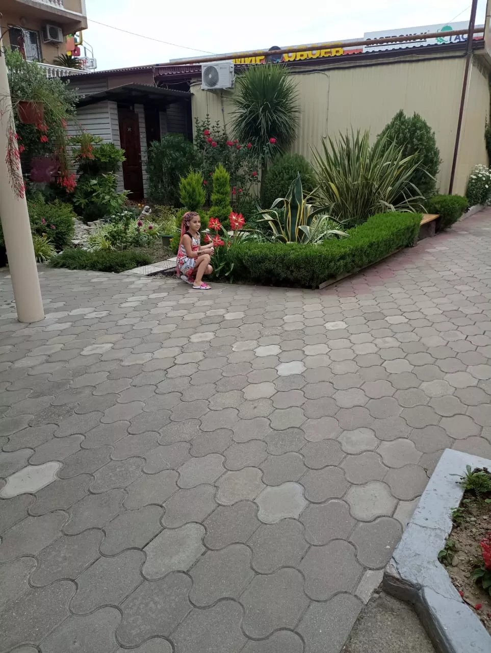 . Частный сектор "Пассифлора". Адлер