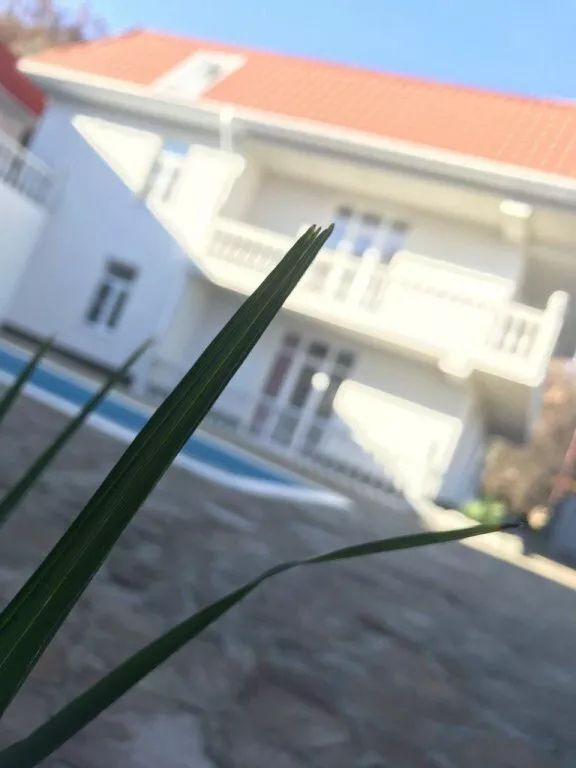 . Отель Отель «Вилла-парк Изобильное». Изобильное