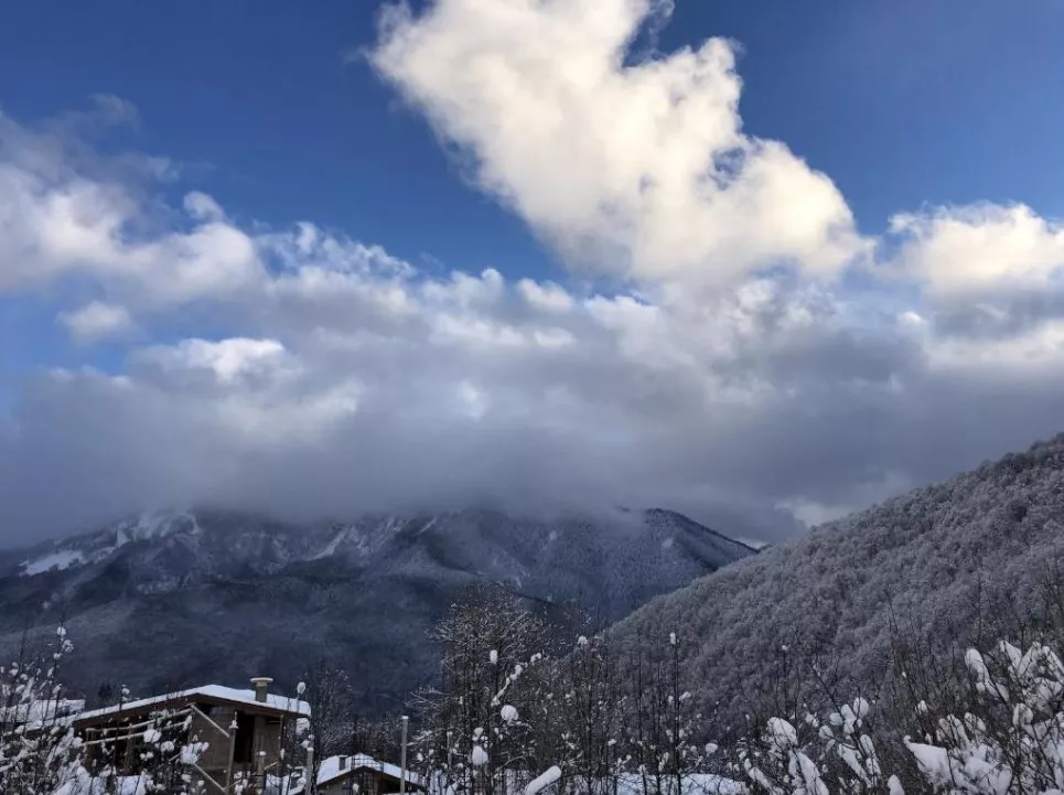 . Апартаменты VertoDom. Красная Поляна