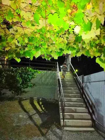 . Гостевой дом Fermond. Джубга