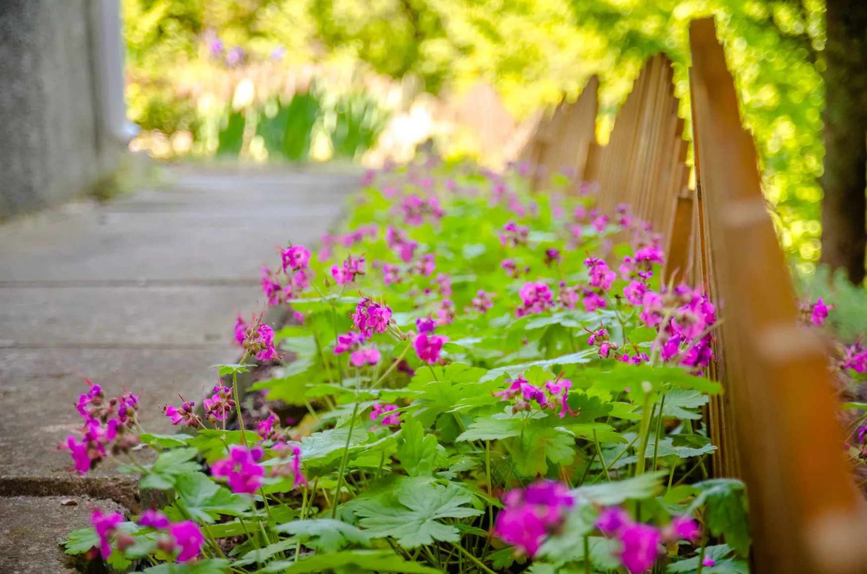 . Мини-отель Сан-Сити. Рыбачье