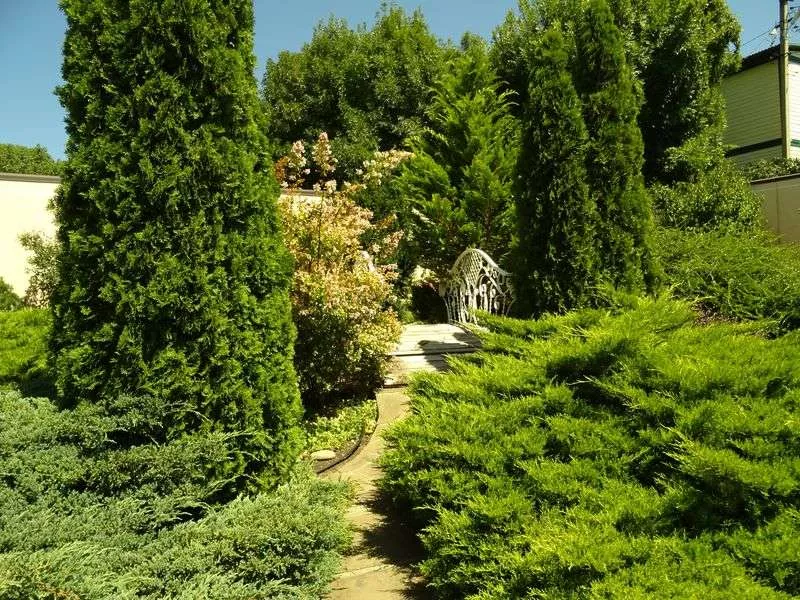 . Гостевой дом "Костяника" . Криница . Гостевой дом "Костяника" . Криница