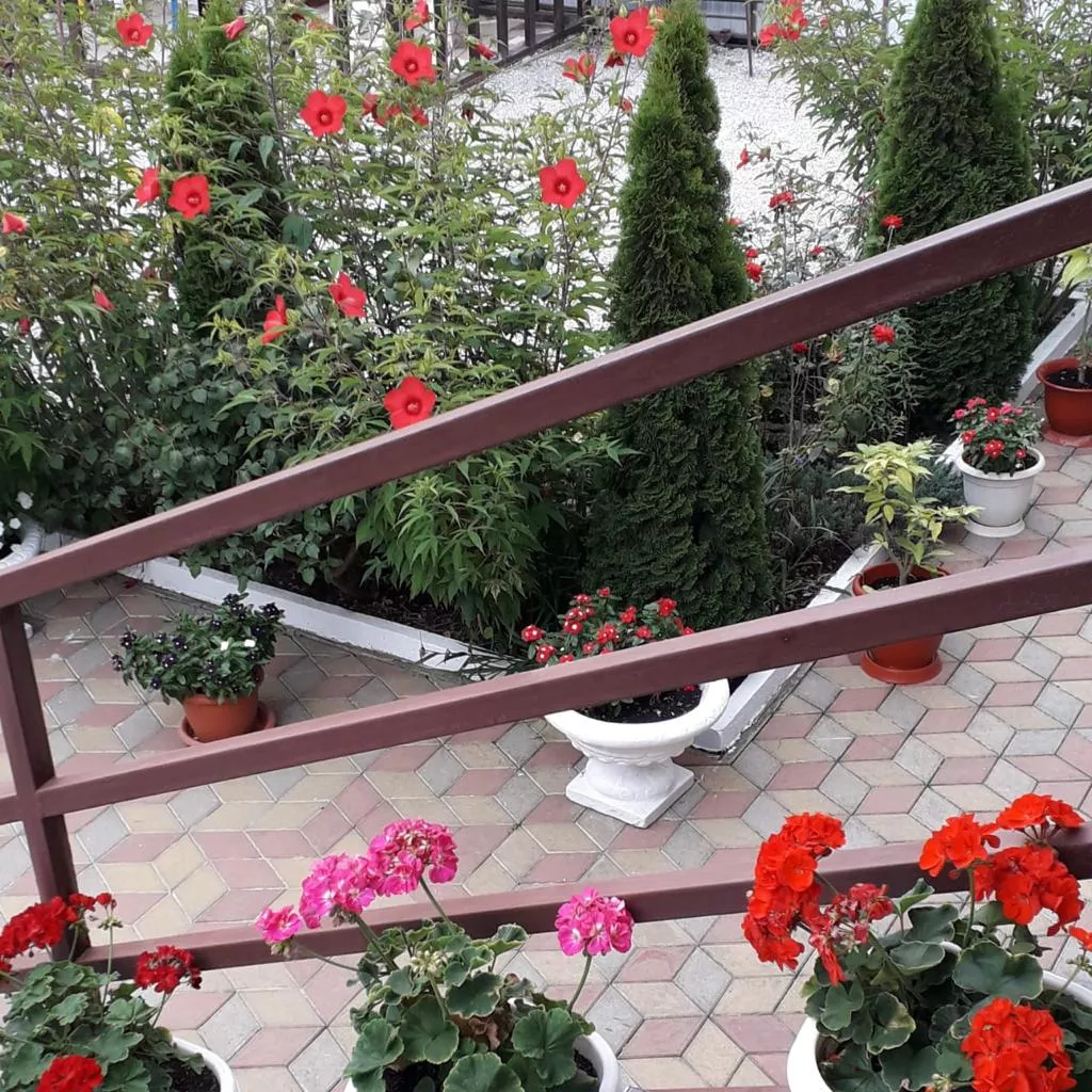 . Гостевой дом "Татьяна". Джубга