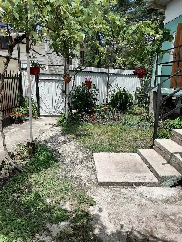 . Частный сектор "Гортензия". Пицунда