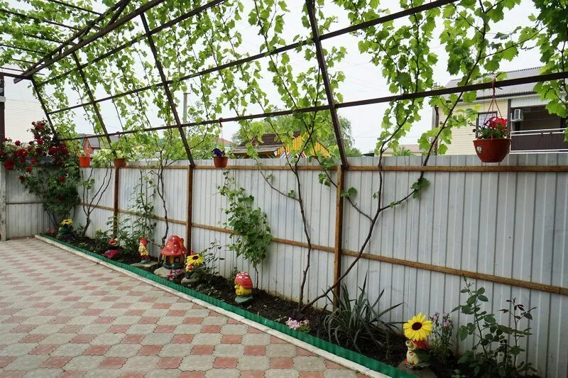 . Гостевой дом "Алина" в Джубге       . Джубга